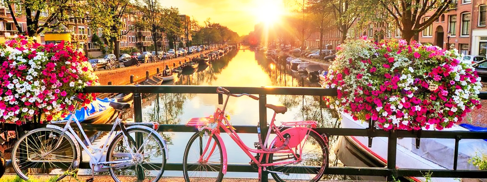 Cosa vedere a Amsterdam