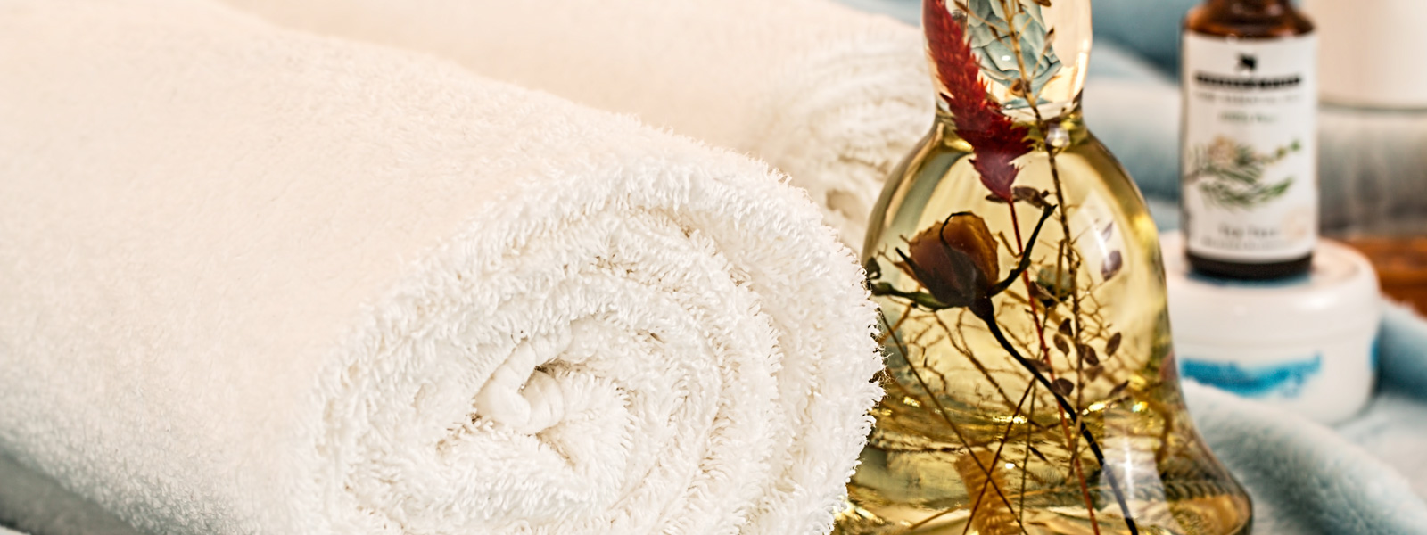 centro benessere terme euganee
